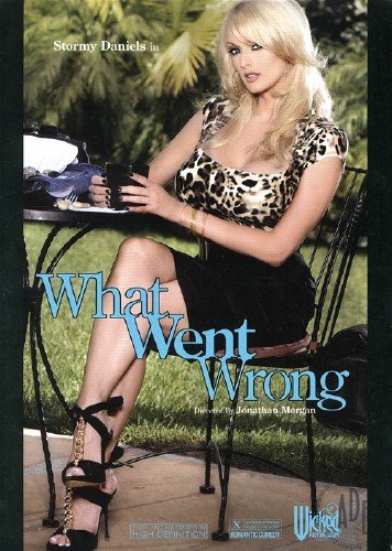 What Went Wrong (2010) DVDRip