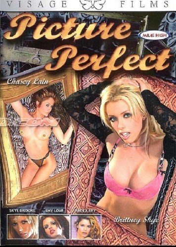 Picture Perfect (2005) DVDRip