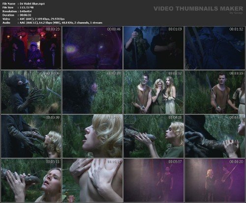 Властелина Колец / Whore Of The Rings (2001) DVDRip